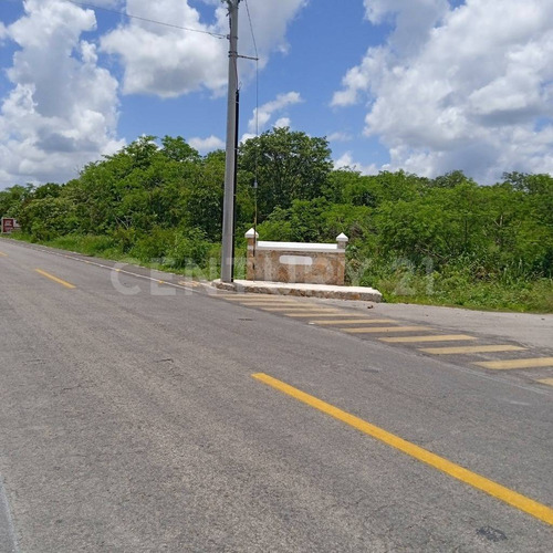 Terreno En Venta, En Chicxulub, Yucatán