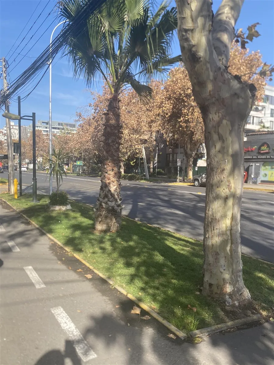 Imagen 4 de 9 de Departamento En Venta De 2 Dorm. En Ñuñoa
