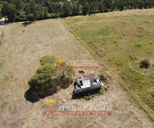 Imagen 11 de 17 de Venta De Chacra Melilla 3 Has Hermoso Paisaje.financia Propietario