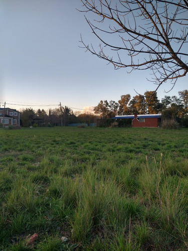 Venta De Lotes Ubicados En Virrey Del Pino, Km 46 (a 200m De Ruta N°3)