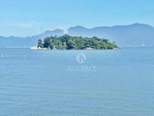 Imagem 9 de 13 de Chácara Rural Na Praia Da Tapera, Florianópolis - . - Ch0002