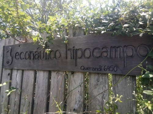 Imagen 24 de 30 de Econautico Hipocampo