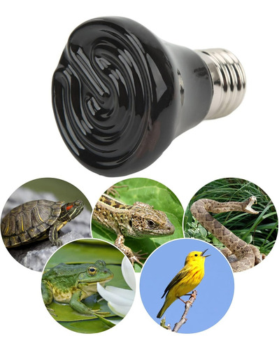 Ampolleta De Calor Para Mascotas, Reptiles, Anfibios.