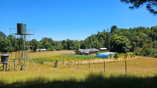 Casa En El Campo Con Casa De Huespedes (85523)