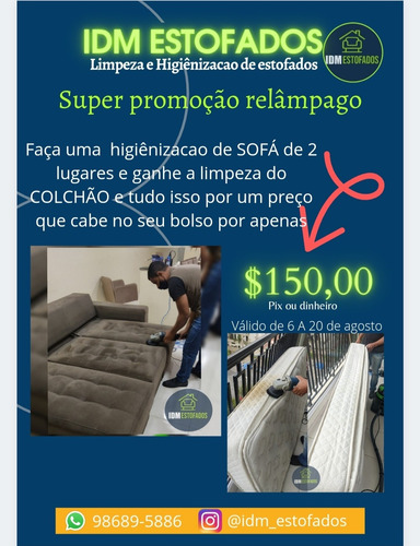 Imagem 1 de 5 de Higienização De Sofá