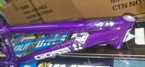 Quadro Gios Br - Frx Evo - 26 - Cores Roxo 13.5