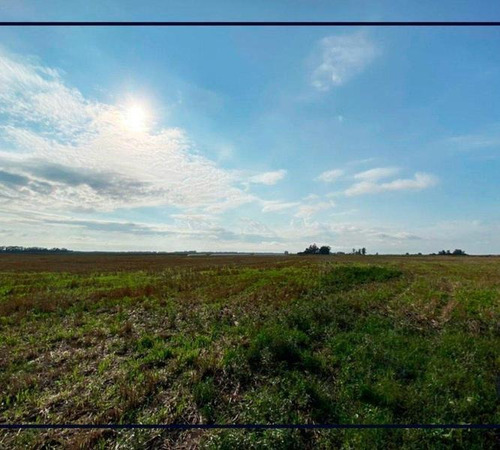 Imagen 6 de 6 de Venta Campo 51 Ha Papero