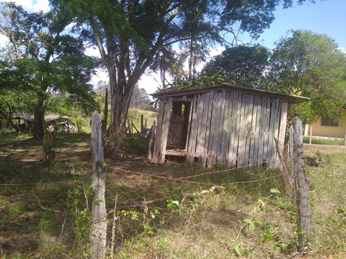 Imagem 3 de 13 de Sítio 6,5 Alqueires, Rica Em Água Com Lago, Casa Sede Com 90m2, 2 Dormitórios, Sítio Ótimo Para Pecuária, Ótima Localização - St00153 - 70457381