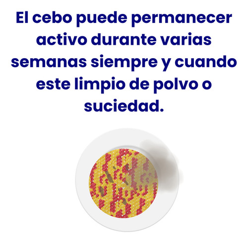 Insecticida Para Moscas Atrapamoscas Repelente Moscas