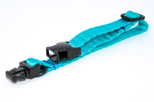 Pack 3 | Collar Para Perro Con Herraje Metálico | Chico