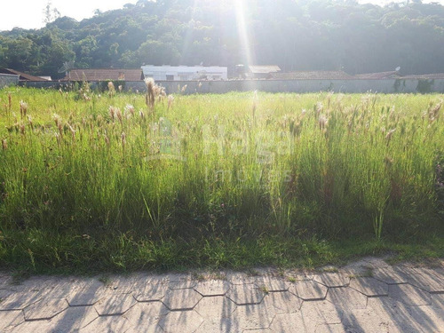 Terreno A Venda Em Guabiruba/sc - 1445