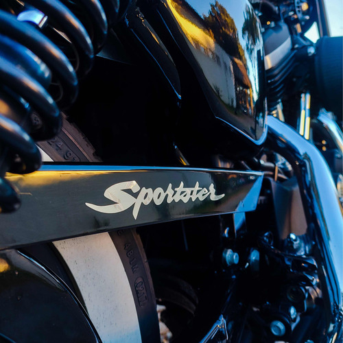 Imagen 18 de 19 de Harley Davidson Sportster Iron 883