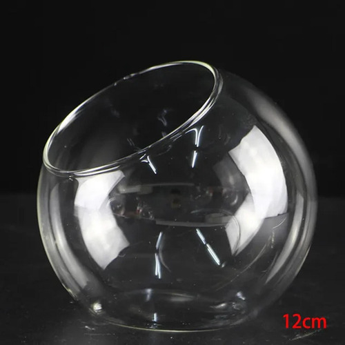 Terrario Contenedor Transparente Florero De Diámetro 12cm