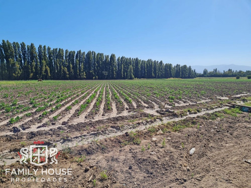 Terreno De 13 Hectáreas Para Proyecto Inmobiliario - Family