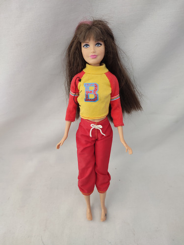 Muñeca Skiper Adolecente Barbie Mattel 