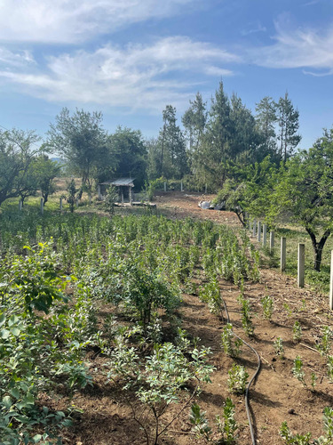 Se Vende Terreno De 2450 Metros Y Construcc En Zacatlán Pueb