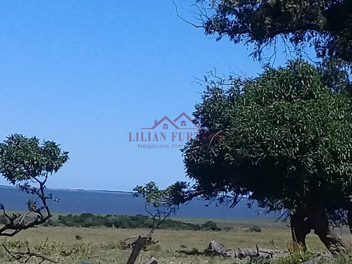 26 Has En Zona Laguna Jose Ignacio - Ref: 654