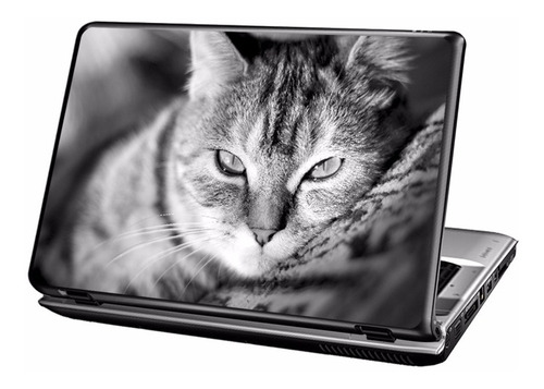 Gatos - Skins Adesivos P/ Notebooks
