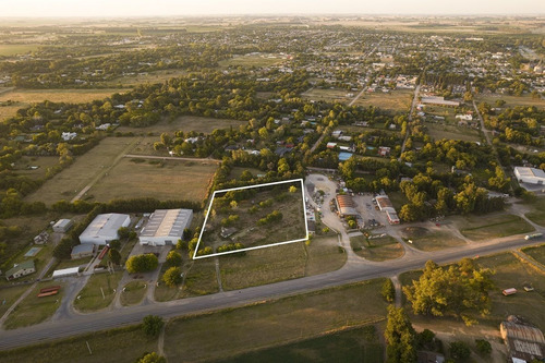 Imagen 2 de 10 de Lote | Ruta Prov. N° 41