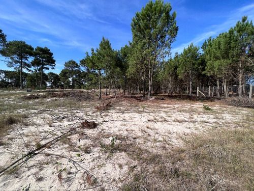 Imagen 10 de 12 de Venta Terreno Lomas De Solymar Canelones
