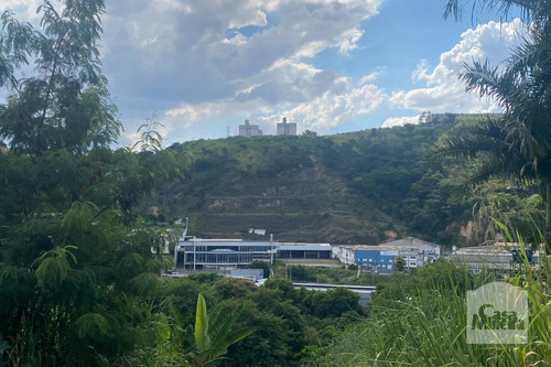 Imagem 12 de 13 de Lote À Venda No Alto Caiçaras - Código 276550 - 276550