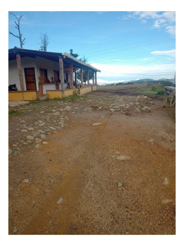 Imagen 2 de 7 de Finca Pequeña En Abejorral.tierra De Aguacate