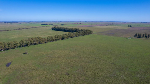Campo En Venta Mixto 188ha San Andres De Giles
