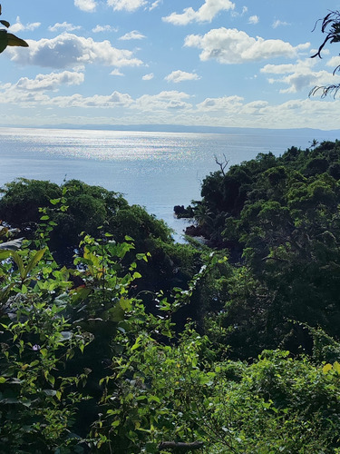 Lotes En Venta, Samaná Centro