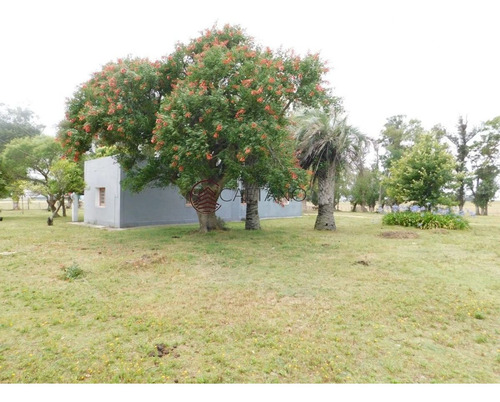 Imagen 1 de 13 de Campo- Chacra En Venta- Entrada De Pueblo Garzon-35 Hectareas - Garzón Pueblo Garzón