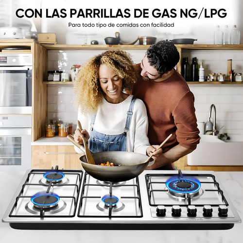 Parrilla Estufa Empotrable 5 Quemadores Gas Acero Inoxidable Plateado