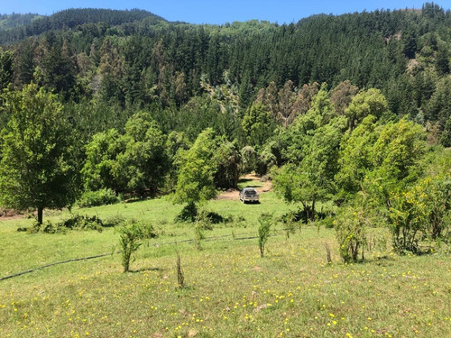 Oportunidad De Inversión Sector El Risco, Pelluhue, El Maule