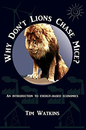 Why Donøt Lions Chase Mice?: An Introduction To Energy-based Economics, De Watkins, Tim. Editorial Independently Published, Tapa Blanda En Inglés