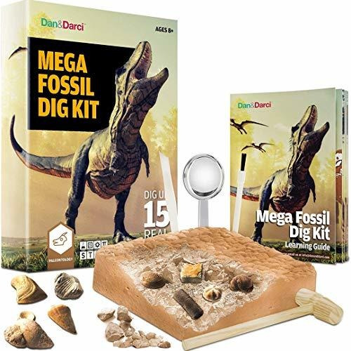 Mega Fossil Dig Kit - Dig Up 15 Fósiles Reales, Huesos De Di