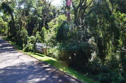 Terreno À Venda, 1168 M² Por R$ 430.000,00 - O Bosque - Gramado/rs - Te0362