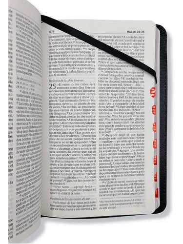 Imagen 9 de 9 de Nvi Biblia Compacta Letra Grande Negro Piel Con Indices