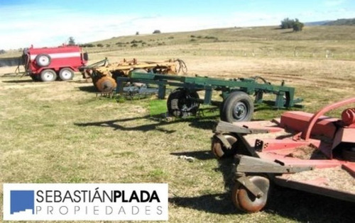 Imagen 4 de 9 de Campo - Pueblo Eden