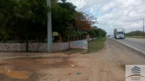 Chácara A Venda São Gonçalo Do Amarante