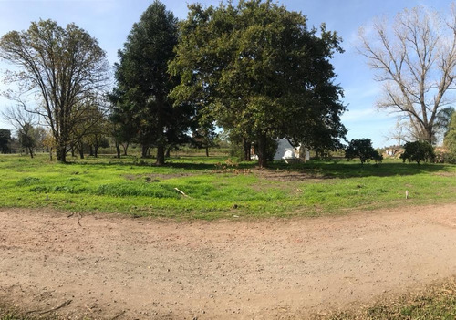 Imagen 2 de 30 de Terreno - Ibarlucea