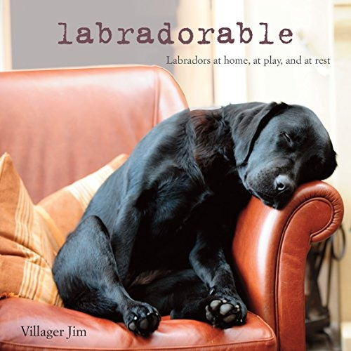 Labradorable Labradors At Home, At Large, And At Play