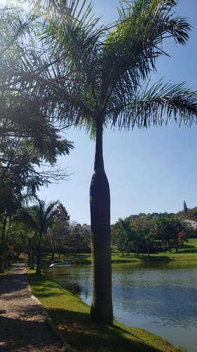Imagem 9 de 20 de Terreno À Venda No Bairro Parque Dos Cafezais Ii, Em Itupeva - 16310