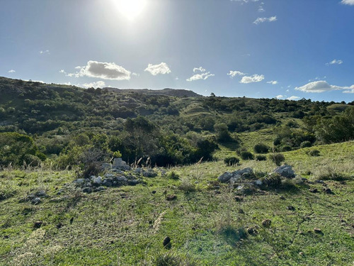 Oportunidad Chacras 5 Hectareas En Maldonado. Sierras De Aigua, Ruta 109. Con Arroyo, Cañadas, Monte Nativo.