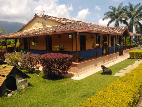 Finca En Venta, Municipio De  Fredonia (antioquia)