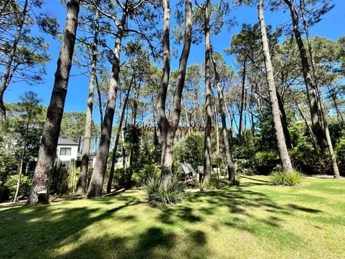 Imagen 4 de 16 de Venta Casa De 4 Dormitorios En Laguna Blanca, Manantiales