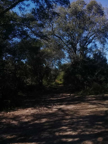 Campo En Venta En Formosa