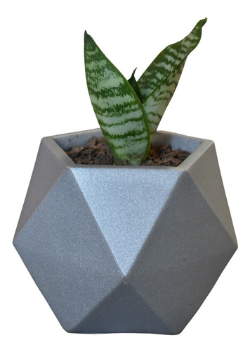 Maceta Minimalista Plata Para Interior Suculenta Cactus