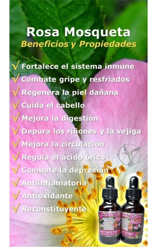 Imagen 6 de 8 de De Rosa Mosqueta Chilena, Rejuvenece Piel 25 Ml ,cicatrices