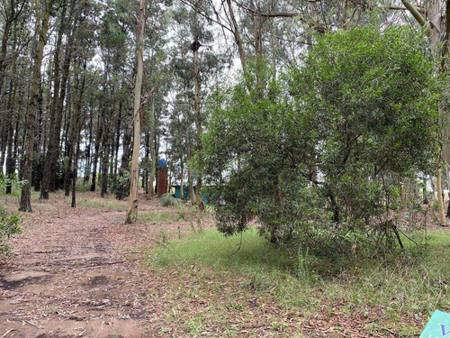 Imagen 8 de 12 de En Venta Terreno - Mar De Las Pampas - Oportunidad.