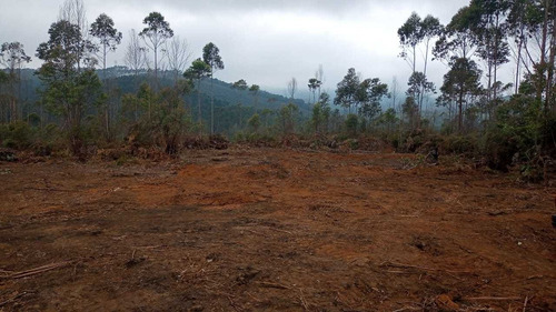 Imagem 4 de 14 de 01- Terrenos Com Agua E Luz Em Mogi Das Cruzes !