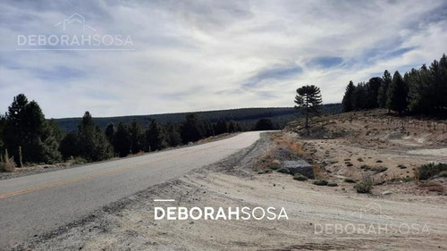Imagen 26 de 29 de Oportunidad Solo Por 30 Dias! Espléndido Terreno En Altos De Pehuenia
