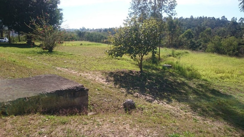 Imagem 9 de 14 de 70.000 M2 Escritiurado E Com Água Nos Fundos